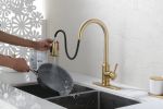 Single Handle High Arc Brushed Nickel Pull Out Kitchen Faucet,
Single Level Stainless Steel Kitchen Sink Faucets with Pull Down Sprayer