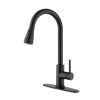 Single Handle Kitchen Sink Faucet with Pull Out Sprayer