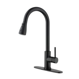 Single Handle Kitchen Sink Faucet with Pull Out Sprayer (Color: as Pic)