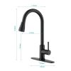 Single Handle Kitchen Sink Faucet with Pull Out Sprayer