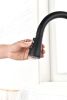 Single Handle Kitchen Sink Faucet with Pull Out Sprayer